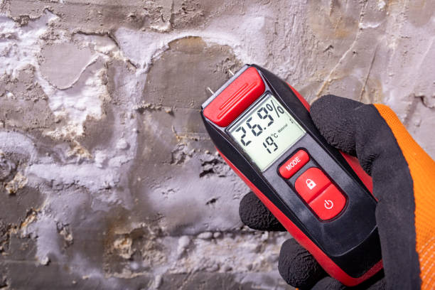 Best Residential Mold Removal  in Krum, TX