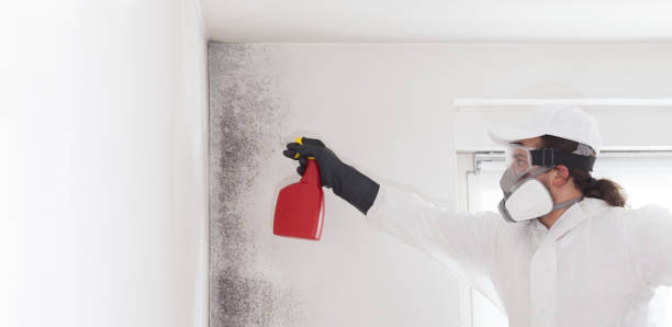 Krum, TX Mold Removal Company