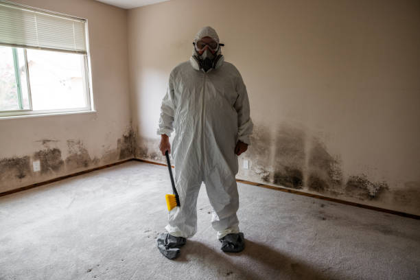 Best Mold Removal and Inspection  in Krum, TX